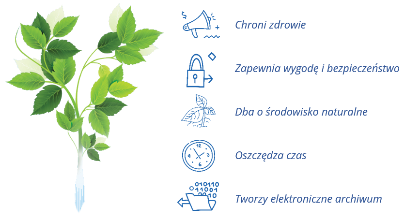 Zielona roślina, którą wspiera ekoFaktura Zielona roślina, którą wspiera ekoFaktura
